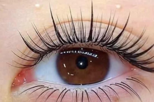 MI THỎ VOLUME 